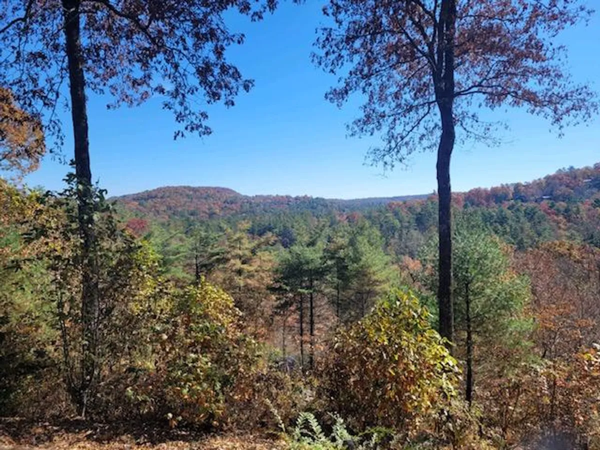 A panoramic view of distant mountains draped in vibrant autumn foliage, with tall trees in the foreground. The scene is serene and inviting, capturing the natural beauty and tranquility of the Highlands area—the kind of landscape visitors might encounter while hiking local trails or exploring scenic overlooks.