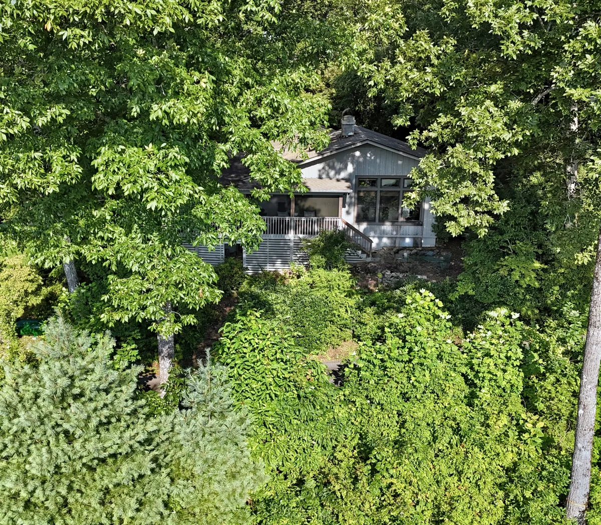 The house is nestled peacefully among tall trees, with a cozy porch area and lush greenery all around. The scene suggests a seamless connection between the home and its natural surroundings, offering a sense of retreat after outdoor activities.